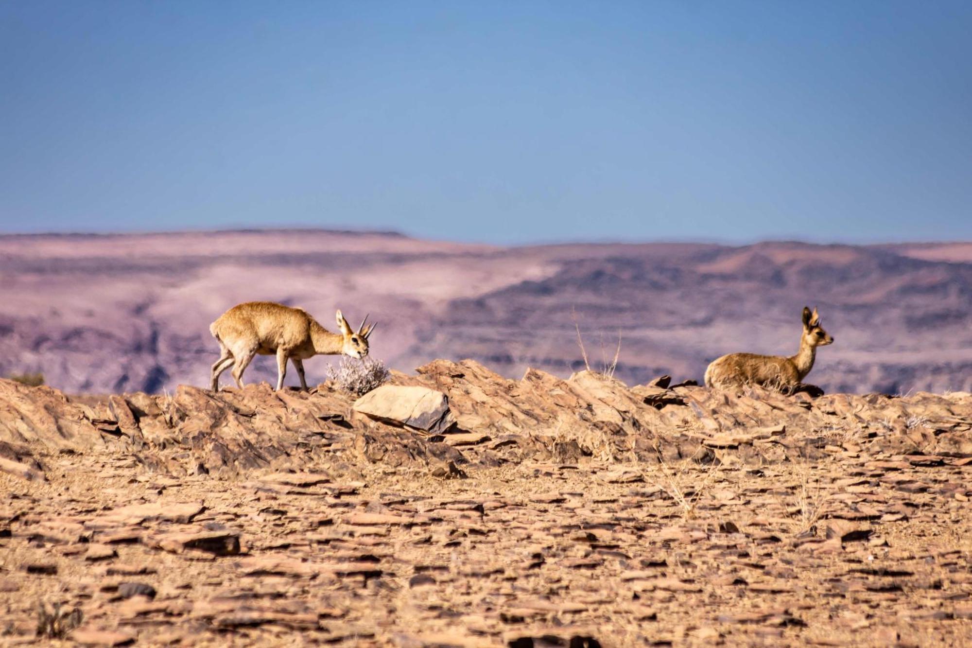 Fish River Lodge Ariamab المظهر الخارجي الصورة